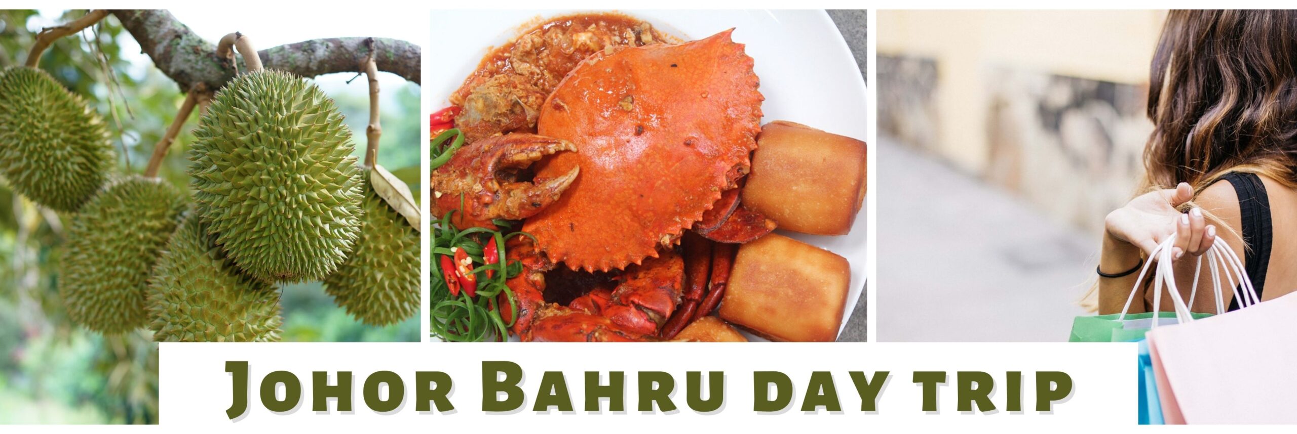 Johor Bahru Day Trip